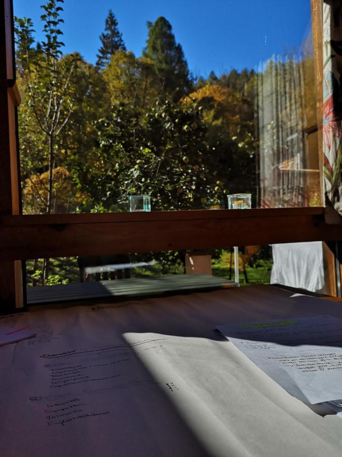Ferienwohnung Schmidt - Natur Und Ruhe Schwaigen Kültér fotó